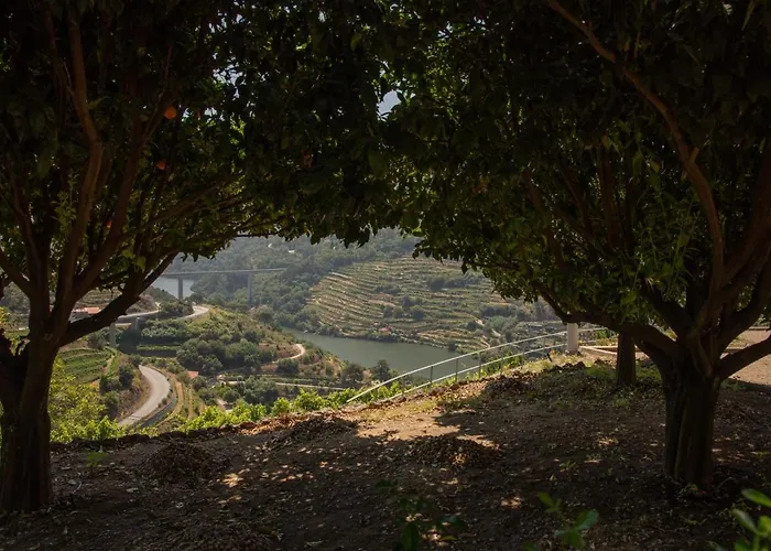 홈스테이 Quinta Da Granja 바이아오