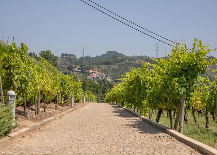 Homestay Quinta Da Granja *